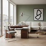 Load image into Gallery viewer, Classic Multicolor Desk Lamp - Adjustable Spring-Arm for Study Room