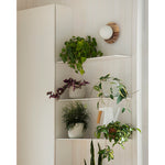 Load image into Gallery viewer, Onyx Krema Wall Lamp