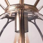Load image into Gallery viewer, Retro Lotus Pendant Lamp