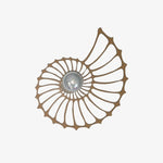 Cargar imagen en el visor de la Galería, Lámpara de pared moderna con silueta de concha de nautilus Spiralyn - Iluminación para sala de estar