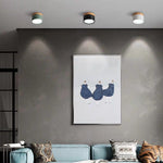 Bild in Gallery-Viewer laden, Don Nordische Moderne Deckenleuchte