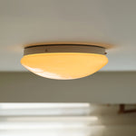 Load image into Gallery viewer, Wickes Flush Ceiling Light