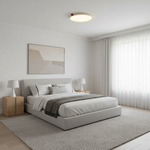 Load image into Gallery viewer, Geos LED Ceiling Light