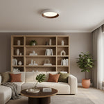 Cargar imagen en el visor de la Galería, Lámpara de Techo Contemporánea Crelina - Luminaria Empotrada para Pasillo y Comedor U16