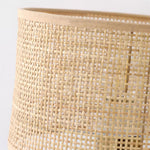 Charger l'image dans la visionneuse de galerie, Woven Rattan Swing-Arm Wall Lamp product view
