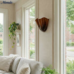 Bild in Gallery-Viewer laden, Bellina Elegante Florale Glas-Wandlampe – Moderne Messing-Wandlampe für Schlafzimmer & Flur