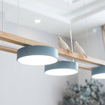 Load image into Gallery viewer, Modern Minimalist Bird 4-Light Pendant Light