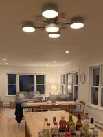 Load image into Gallery viewer, Multihead Disc Morandi Color Branch Ceiling Light