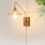 Cargar imagen en el visor de la Galería, Walnut-Backed Brass and Glass Plug-In Wall Lamp product view 15