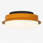 Bild in Gallery-Viewer laden, ceiling light finish