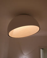 Charger l'image dans la visionneuse de galerie, Lampe de plafond Duo