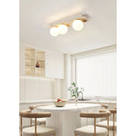 Load image into Gallery viewer, Bianca Globe Ceiling Lamp