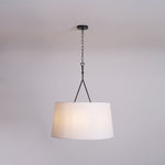 Load image into Gallery viewer, Dauphine Pendant Lamp