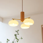 Load image into Gallery viewer, Elliptical Persimmon Chandelier