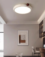 Load image into Gallery viewer, Metra Ceiling Light