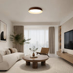 Bild in Gallery-Viewer laden, Wabi-Sabi Wood Color LED Flush Mount Ceiling Light
