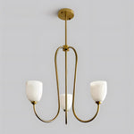Load image into Gallery viewer, Mild Velin Chandelier
