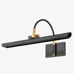 Bild in Gallery-Viewer laden, Aurix Bilderleuchte – Schlanker Schirm Kunstbeleuchtung Metall-Finish Wandlampe für Galerie