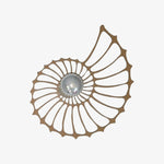 Cargar imagen en el visor de la Galería, Lámpara de pared moderna con silueta de concha de nautilus Spiralyn - Iluminación para sala de estar