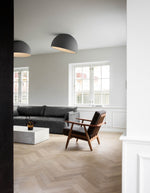 Charger l'image dans la visionneuse de galerie, Lampe de plafond Duo