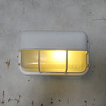 Bild in Gallery-Viewer laden, Marine Outdoor Wandleuchte