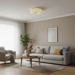 Cargar imagen en el visor de la Galería, Lámpara de techo Opalune Art Deco con diseño de pudín – Iluminación elegante para interiores modernos N06