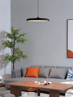 Load image into Gallery viewer, Macaron Pendant Light – Slim Metal Saucer Fixture