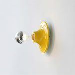 Load image into Gallery viewer, Radiora Wall Lamp
