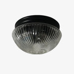 Cargar imagen en el visor de la Galería, Ribbed clear glass shade with black ceiling canopy