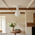 Bild in Gallery-Viewer laden, Glorica Glas Industrieller Metallrahmen Wandlampe – Minimalistische große Glühbirnen-Wandlampe für Wohnzimmer