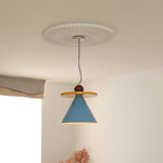 Load image into Gallery viewer, Riva Pendant Lamp