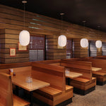 Charger l'image dans la visionneuse de galerie, Lampe suspendue Solaria