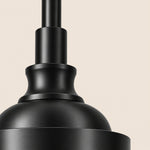 Charger l'image dans la visionneuse de galerie, Vintage Adjustable Glass Pendant Light