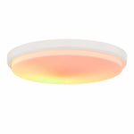 Load image into Gallery viewer, B style white ceiling lamp SKU view for 30 cm and 40 cm sizes
