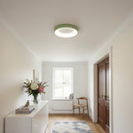 Charger l'image dans la visionneuse de galerie, Lampe de plafond Lumiflexa Sleek Circle - Design minimaliste pour salons modernes