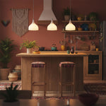 Load image into Gallery viewer, Zest Flare Pendant Lamp