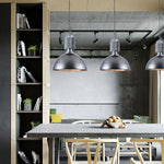 Load image into Gallery viewer, Steinhauer Bikkel Pendant Light