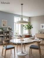 Load image into Gallery viewer, Hanton Nordic Metal Henry Pendant Light - Minimalist Glass And Metal Shade