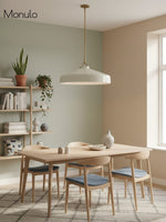 Load image into Gallery viewer, Hanton Nordic Metal Henry Pendant Light - Minimalist Glass And Metal Shade