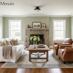 Charger l'image dans la visionneuse de galerie, Plafonnier encastré Hanton – Luminaire minimaliste moderne avec abat-jour en verre laiteux et métal