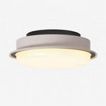 Bild in Gallery-Viewer laden, ceiling light finish