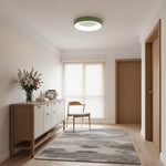 Charger l'image dans la visionneuse de galerie, Lampe de plafond Lumiflexa Sleek Circle - Design minimaliste pour salons modernes