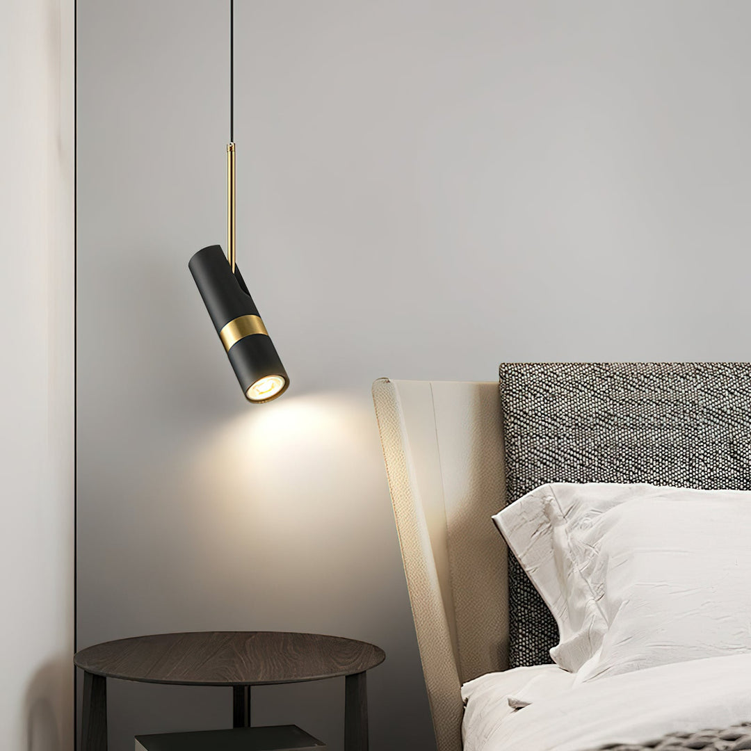 Black And Gold Metal Hardwired Pendant Light