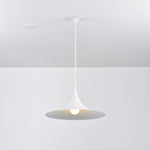 Bild in Gallery-Viewer laden, Arch-Shaped Aluminum Plug-In Pendant Light