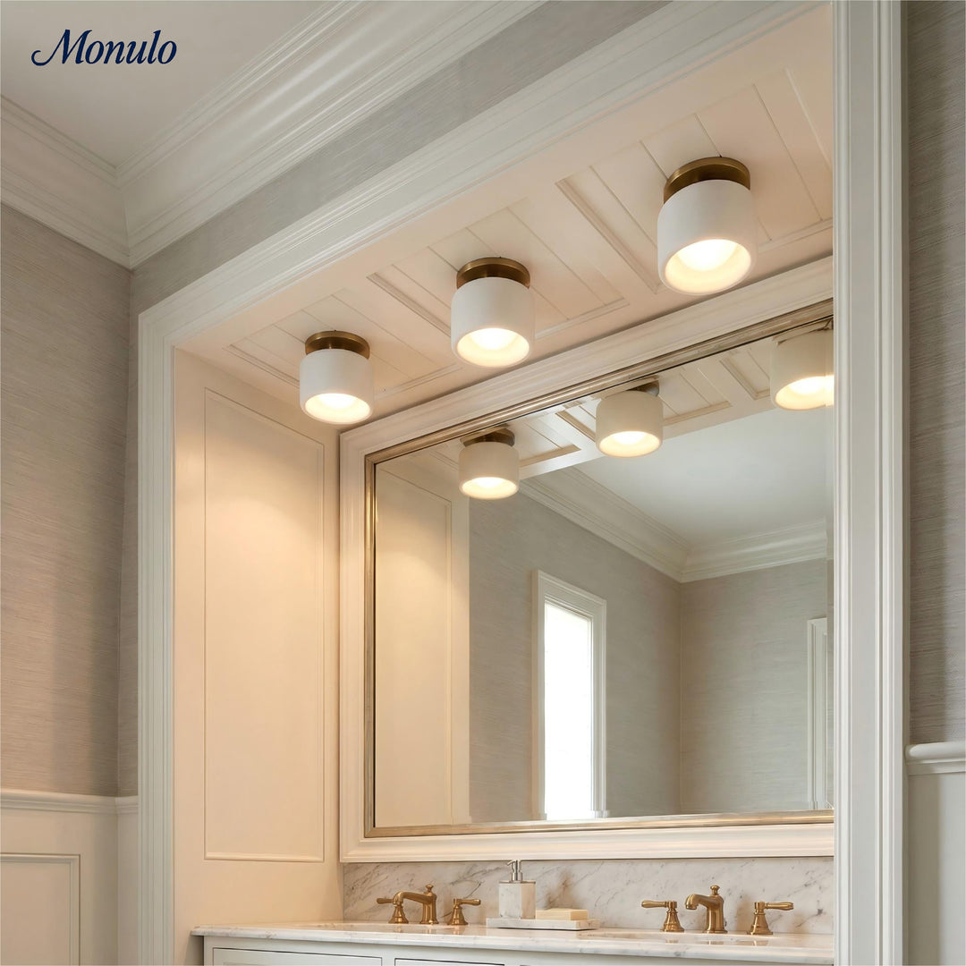 Cerova Contemporary Porcelain Flush Mount Ceiling Light – Soft Ambient Illumination for Hallways and Offices