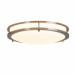 Load image into Gallery viewer, Brushed nickel 40 cm Bauhaus eye-care LED ceiling light, three-color light