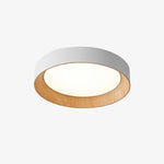 Charger l'image dans la visionneuse de galerie, Luminaire de plafond minimaliste Cedronis - Solution d’éclairage intérieur moderne