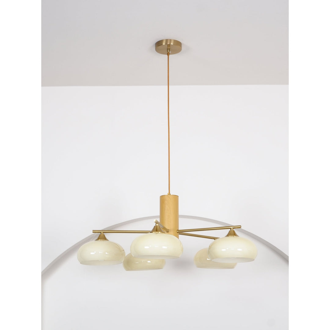 Elliptical Persimmon Chandelier