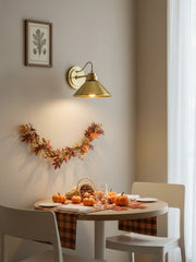 Aurenza Curved Arm Globe Wall Sconce – Modern Industrial Wall Lamp for Bathroom, Bedroom, and Hallway