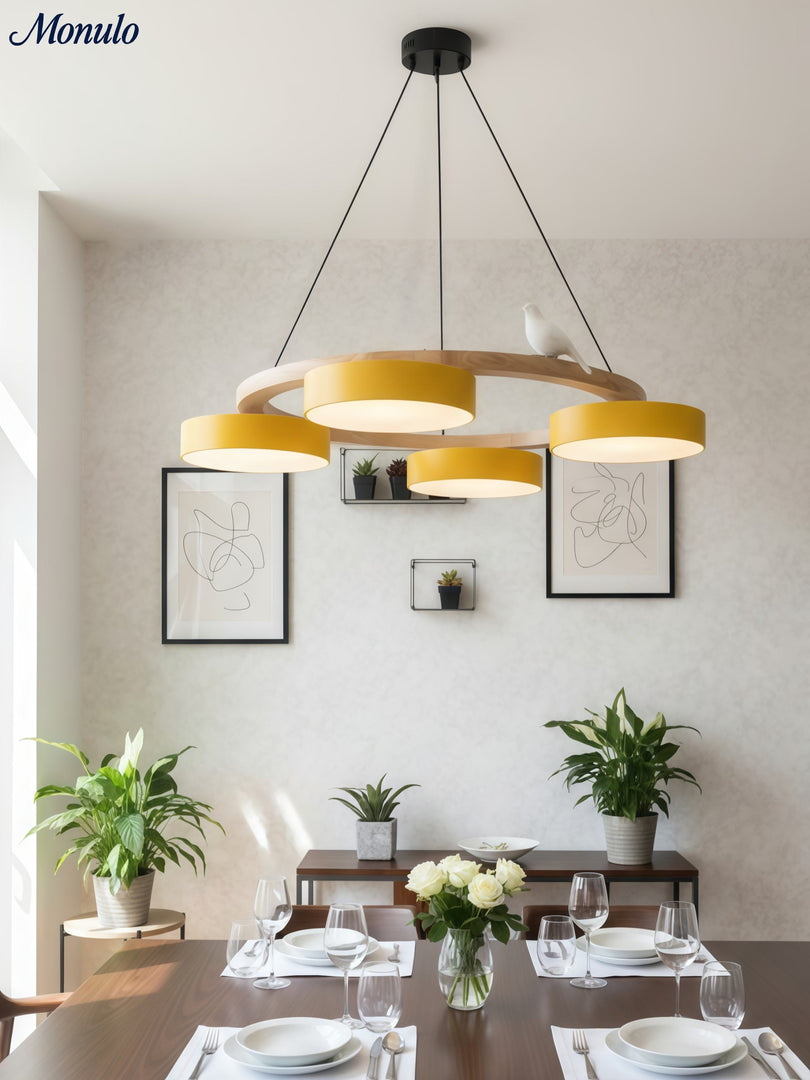 Modern Creative Colourful Circle Bird Chandelier